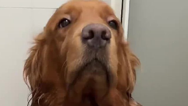 这是一副没有灵魂的躯壳