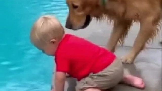 狗狗救下人类幼仔