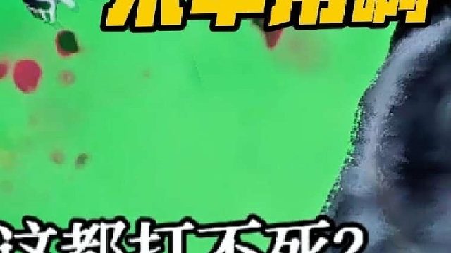 没办法,就是这么强!