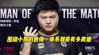 圍繞小狗展開的四保一體系到底有多離譜