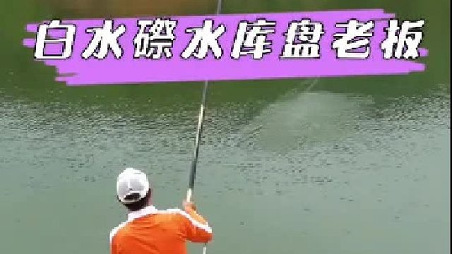 白水磜水库盘老板