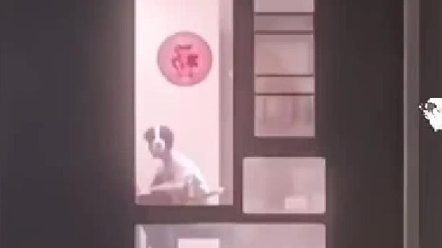 这个可笑死我了看了好半天没看出来。最后看了好几遍才看明白