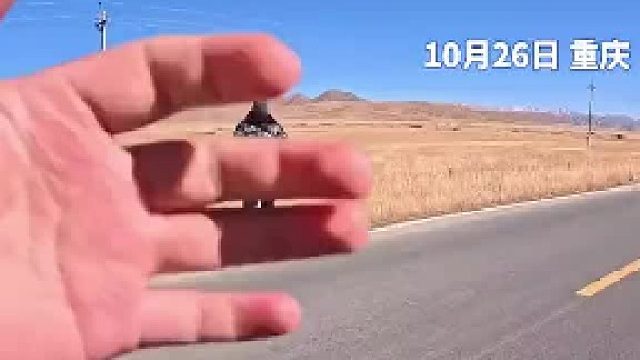 花钱给狗子找活？牧羊犬第一次见到牧羊 激动坏了