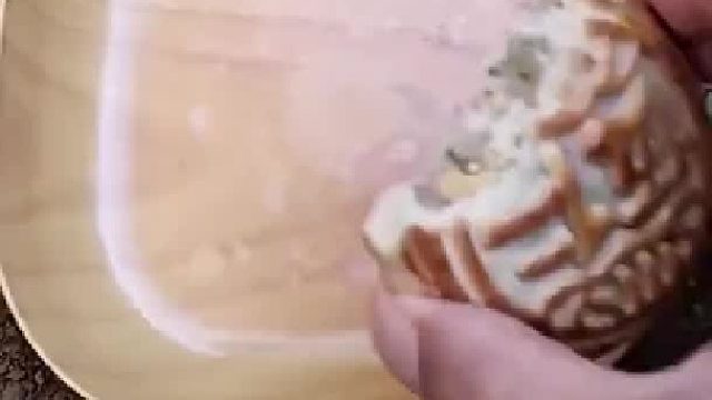 男子把月饼换成石头，导致报信的蚂蚁被群殴，网友：它是真会死的