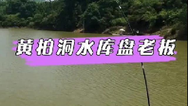 黄柏洞水库盘鲢鳙