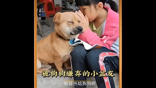 狗：放寒假了没事干就天天嚯嚯我呗