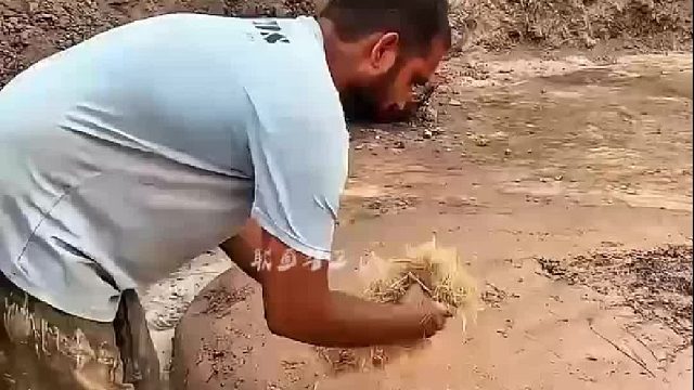 没想到泥巴混合干草竟然能发挥出这么大的利用价值，真是涨见识了