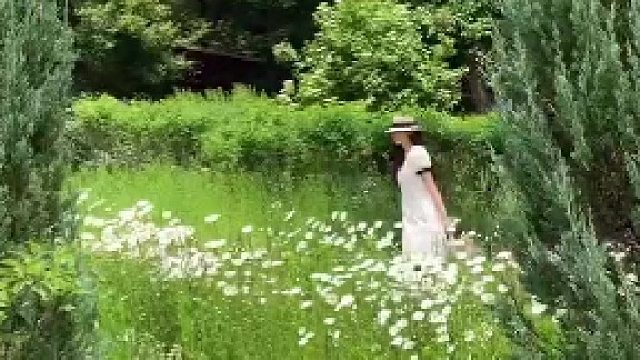 指尖捻起诗意 眉眼漾起柔光