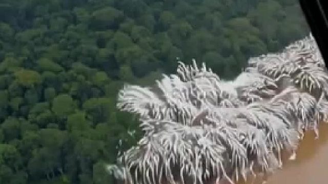 我去，这是什么东西？