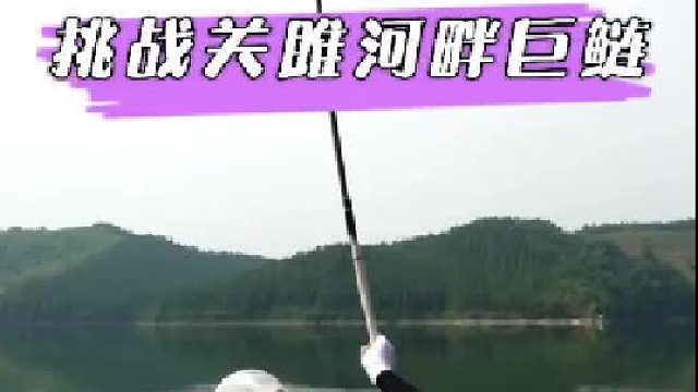 关雎河畔里的巨鲢。