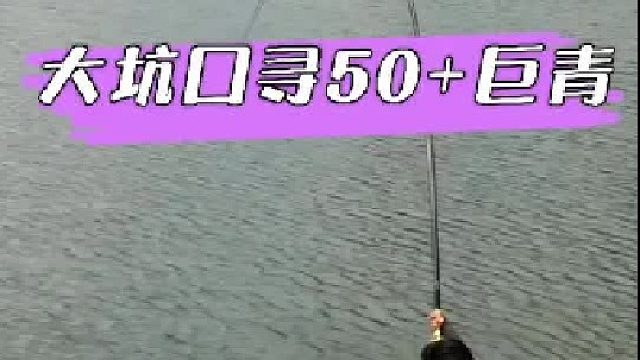 再战大坑口水库，继续寻找50 巨青