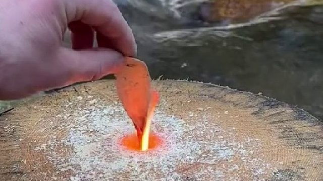 新鲜熏鱼面条&冬令营中的香肠吐司&烤无骨鸡