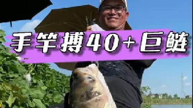 7米2手竿挑战巨型鲢鳙，切线跑鱼一波三折