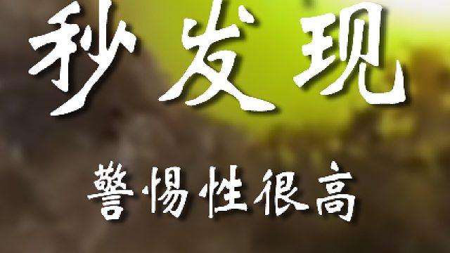 难怪有种迷一样的气息