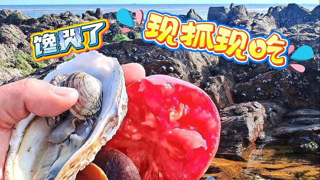 抛开班味，开心赶海