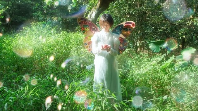 我有个挚友，热衷于进山捕捉自然之美