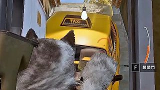 此情形該如何應(yīng)對(duì)解決？