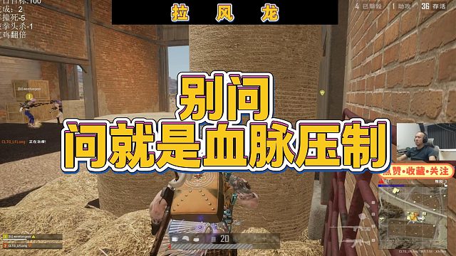 【拉风龙】别问问就是血脉压制