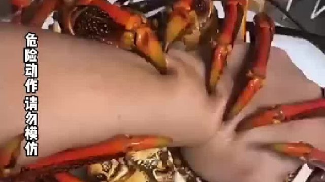被大闸蟹夹伤的惨痛经历！