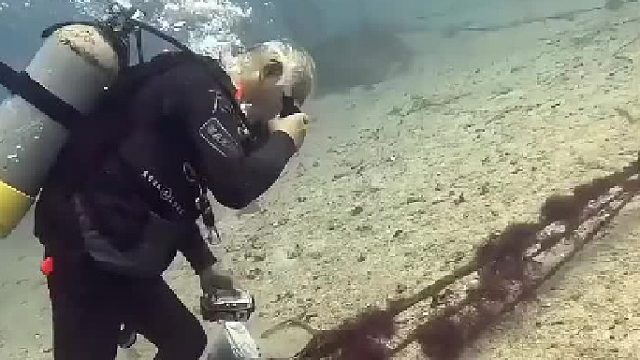 带你第一视角探索海底世界