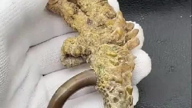 文玩鸡爪骨制作：扒皮那一刻，我被惊艳到了！