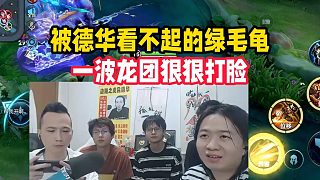 被德華看不起的綠毛龜，一波龍團(tuán)狠狠打臉