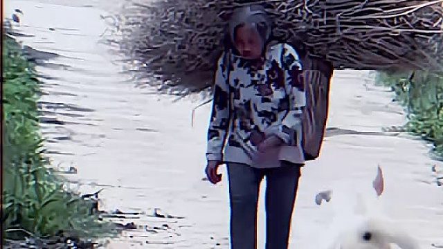 真是好样的布鲁斯