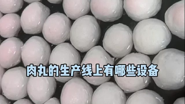 肉丸加工设备整套肉丸生产线章鱼丸子流水线海鲜丸子加工成套设备