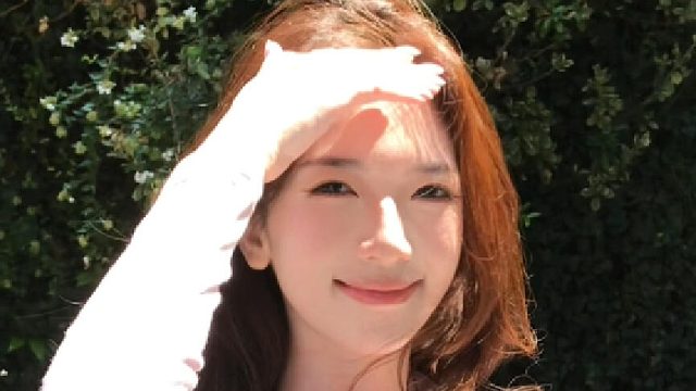 我只是个爱你的笨蛋