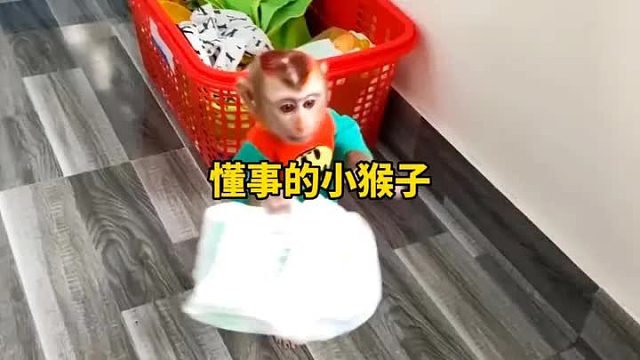 这只小猴子既听话又懂事，帮助妈妈给妹妹洗澡澡，拿衣服