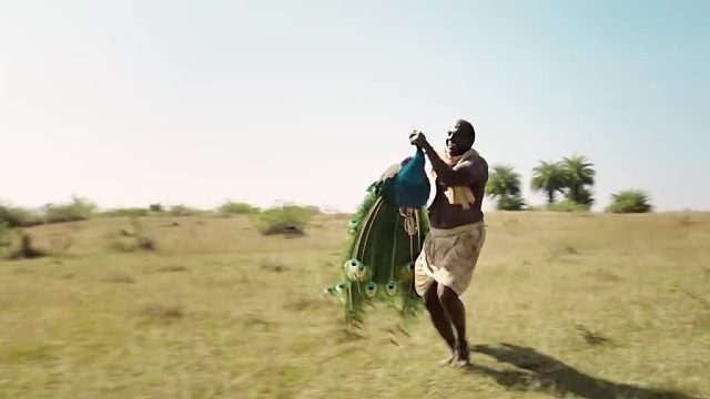 君王欲移巫者历护之金丘