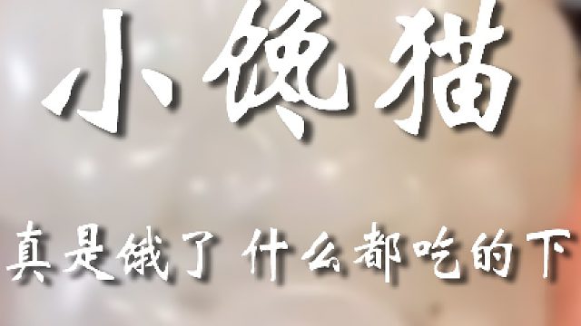 底下肯定又要说混吃混喝了吧