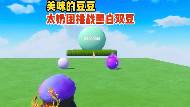 太奶团今天遇见了奇特的黑白双豆