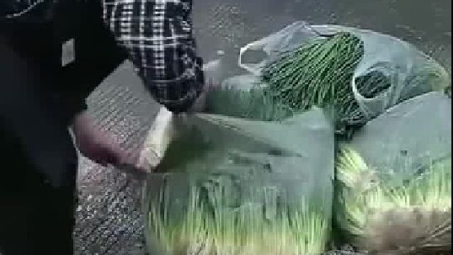 菜贩子见葱卖不出好价格，直接用刀全部原地销毁！农民的辛酸