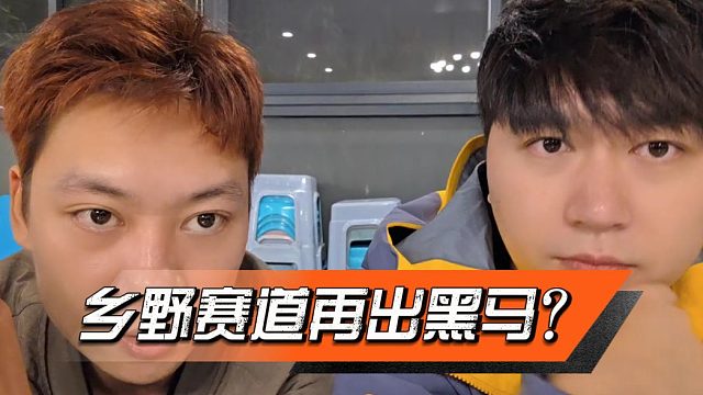 直播挣钱新赛道，大家有条件的赶快干乡野