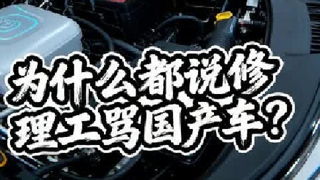 国产车的设计师脑子都是让驴踢了吗？