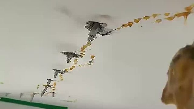 楼上漏水像下雨，业主拒修耍无赖！楼下只能“天花板打针”！