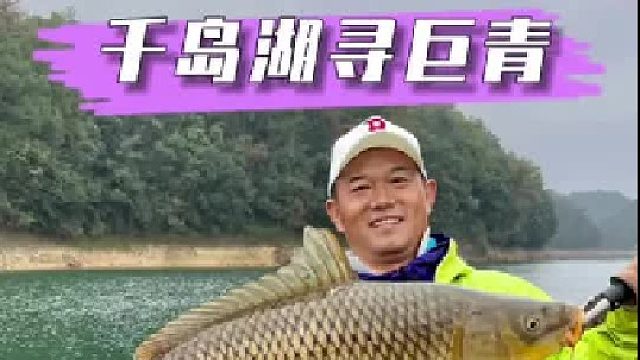 千岛湖寻巨青