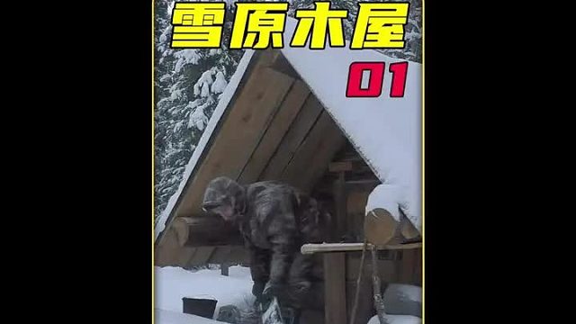 第一集 这才是我们这种猛男该看的