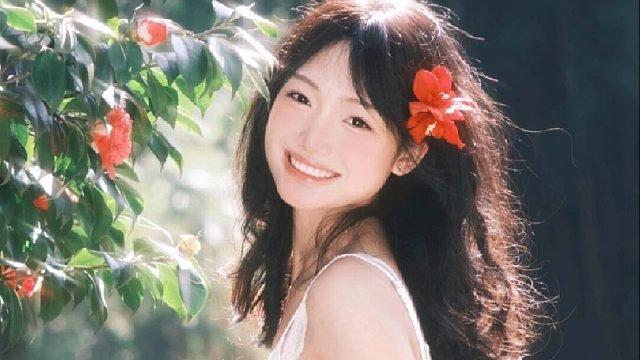 是夏日那炽热而浓烈的激情与活力