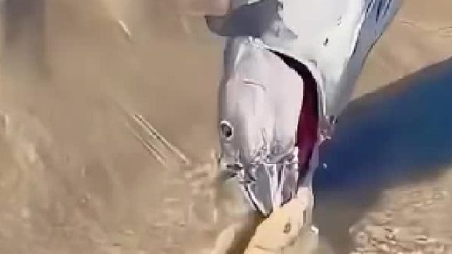 结局亮了，你以为的不一定是你以为的