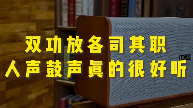 迷人音质 yyds！这音响，听得我人都醉了