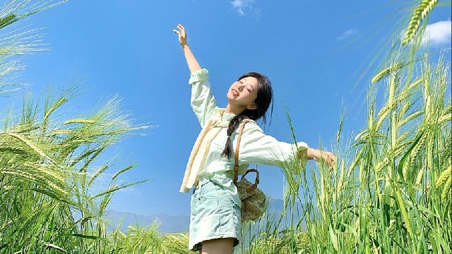 麦浪随风舞动｜我捕捉了大理最暖心的刹那