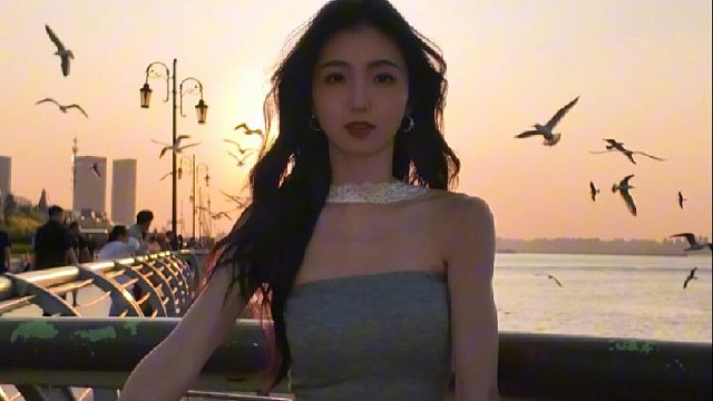 海鸥不再眷恋大海 可以飞更远