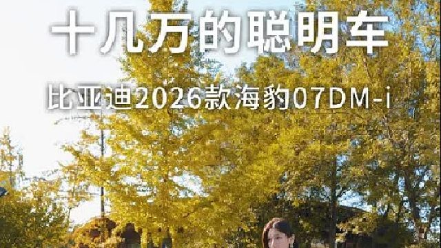 十几万的车智驾居然能这么聪明，这波不亏