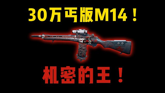 30万丐版M14！机密大坝的King！三角洲行动