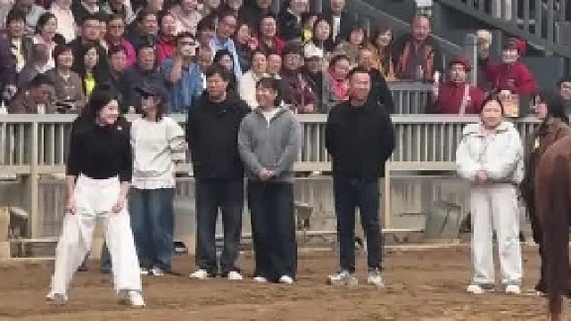 其他人都笑了，除了马没有笑