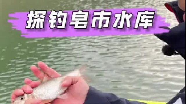 野钓胜地皂市水库。