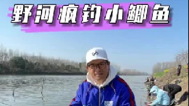 野河疯钓小鲫鱼。