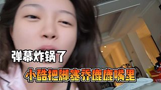 小酷把腳塞喬鹿鹿嘴里，彈幕炸鍋了